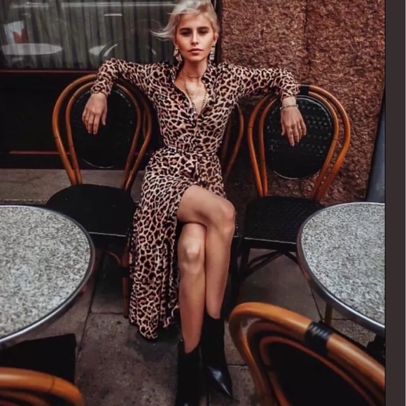 Zara Midi Animal Printed - Picture 2 of 6